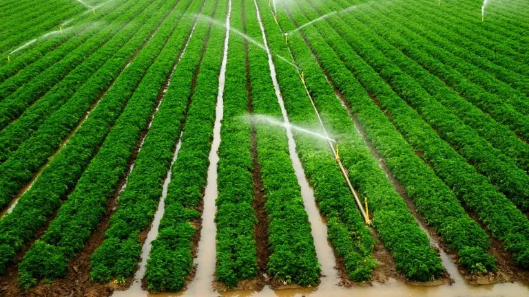 Agriculture & Forestry industry